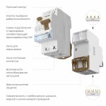 W812P404 / Устройство защитного отключения 1P+N 40 А 100 mA  AC 6 kA — изображение 2
