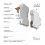 W901P404 / Автоматический выключатель 1P  40 A  C  4,5 кА — изображение 2
