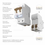 W902P404 / Автоматический выключатель 2P  40 A  C  4,5 кА — изображение 2